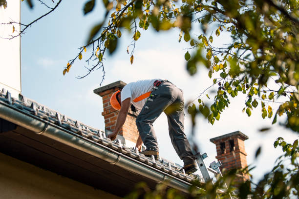 Best Gutter Installation and Roofing  in Roseburg, OR